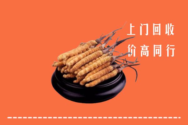 附近收购：双峰县冬虫夏草回收多少钱每克