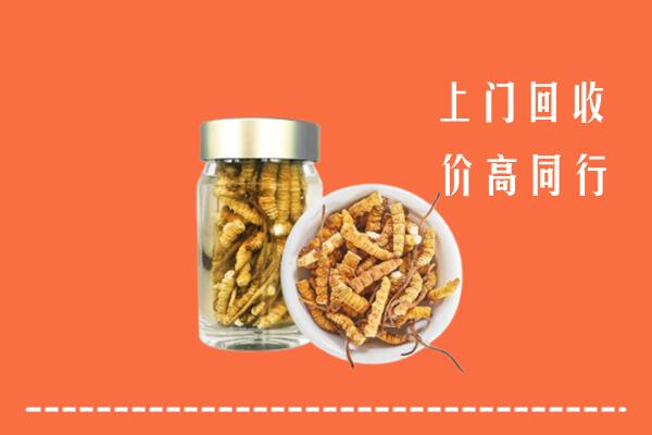 附近收购：双峰县回收冬虫夏草